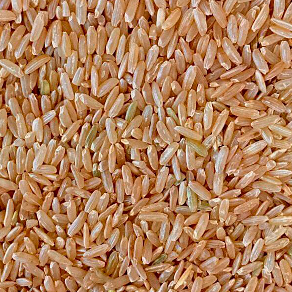 Arroz Integral
