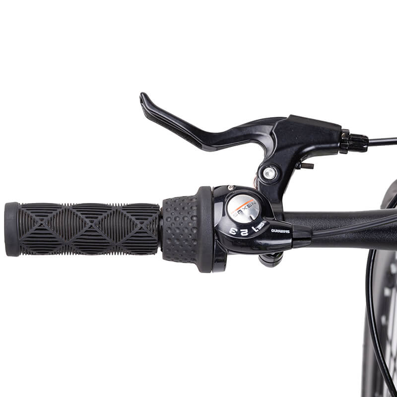 Bicicleta Artemisa Shimano Nexus Negro - Relámpago.Shop